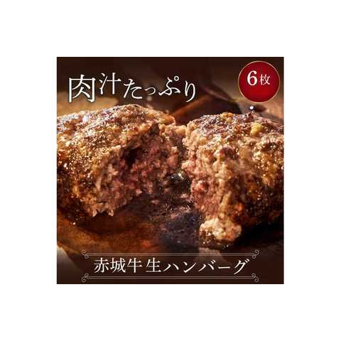 赤城ハンバーグギフト （6個入り）