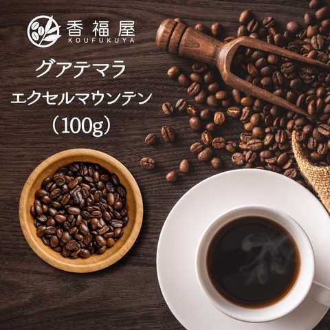 コーヒー豆グアテマラ エクセルマウンテン 100g
