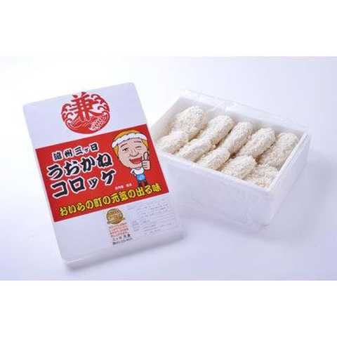 遠州三ヶ日うおかねコロッケ10個入り