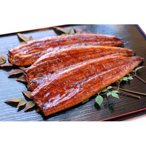 浜名湖名産うなぎ うなぎ蒲長焼き 4尾 たれ付き