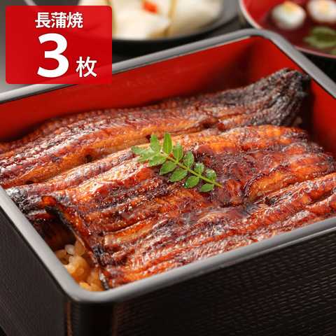 浜名湖うなぎ 鰻の蒲焼 真空パック 3枚
