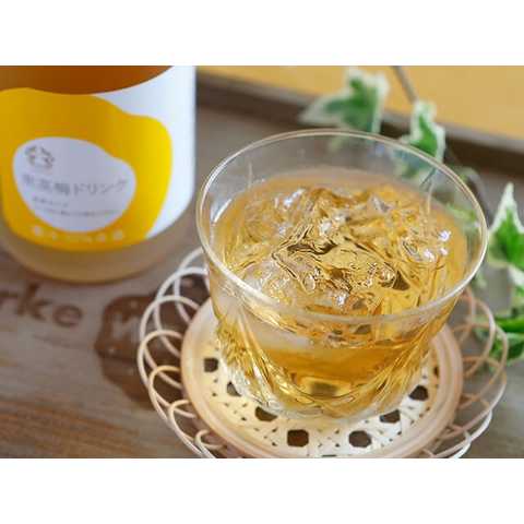 南高梅ドリンク 495ml
