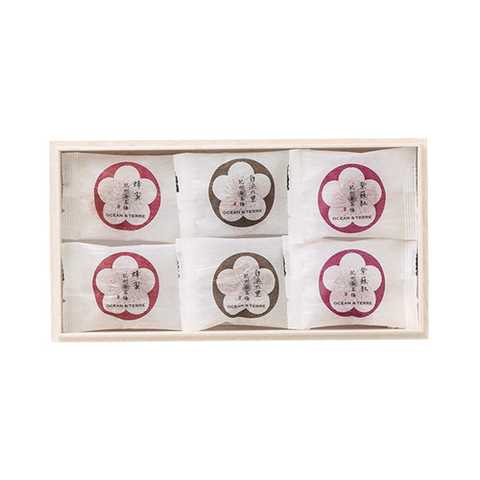 Premium 紀州南高梅 6粒 木箱入り