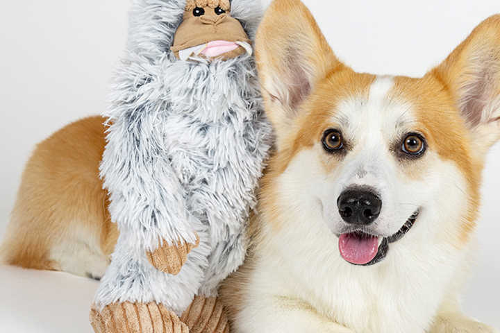 犬雑貨・オーナーズグッズ erina 犬雑貨・オーナーズグッズ erina 犬雑貨・オーナーズグッズ
