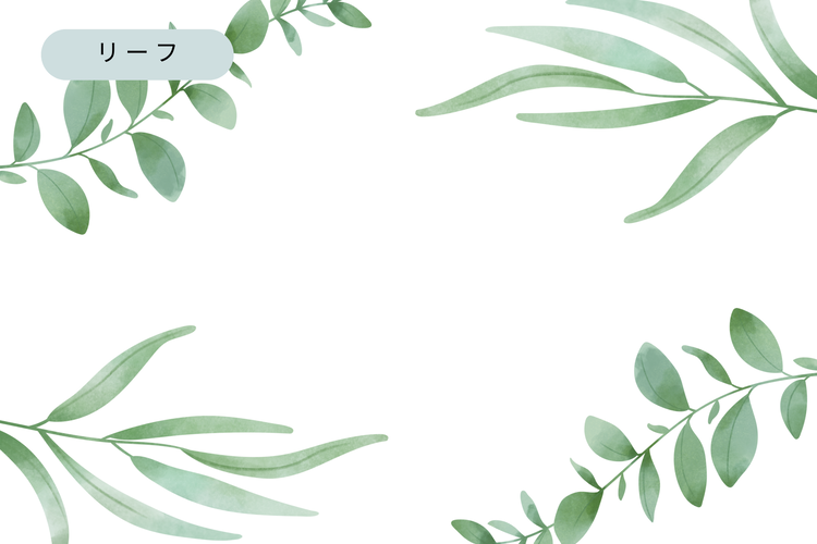 | オプション
