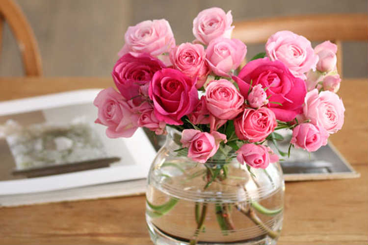 母の日はバラの花をプレゼント お母さんが喜ぶおすすめギフト Anny アニー