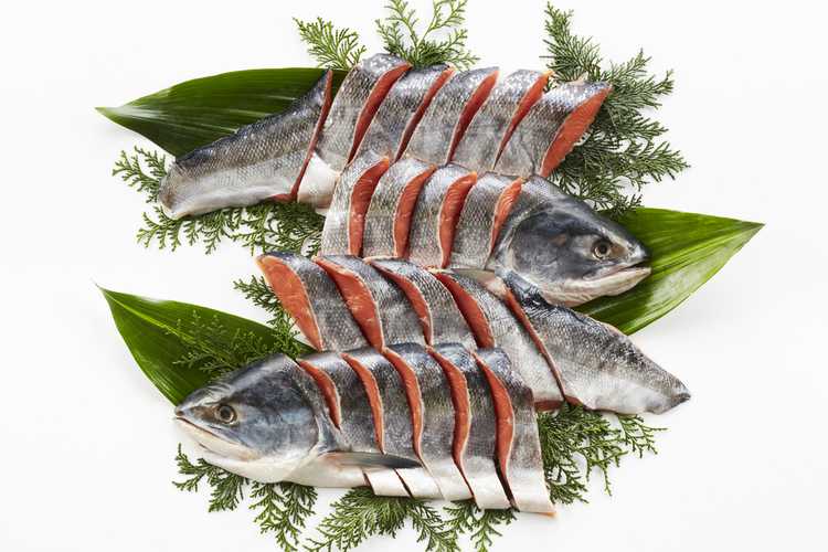 魚グルメギフト