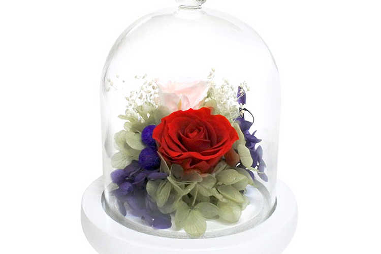 プリザーブドフラワー