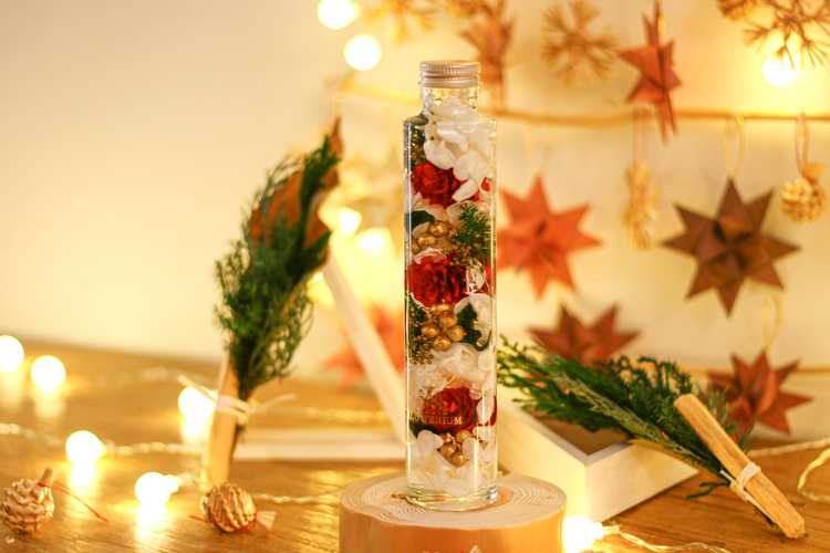 Annyバイヤー厳選