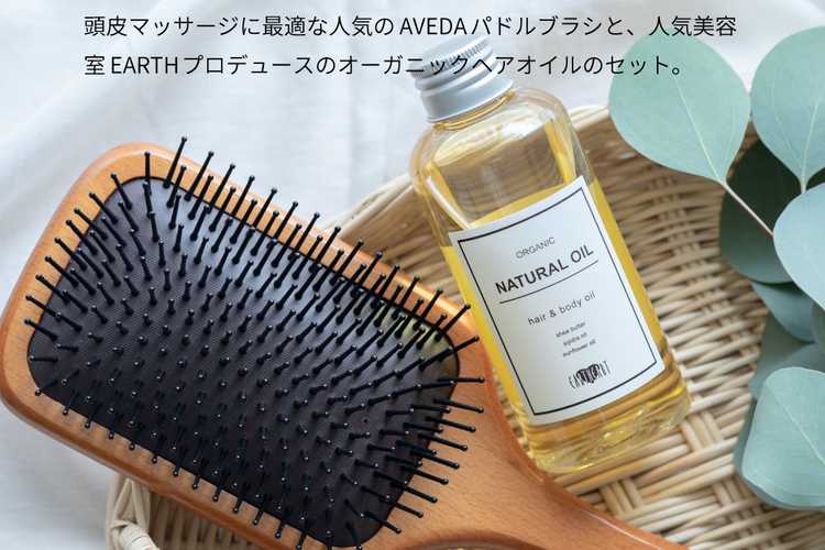 ヘアブラシ 販売 プレゼント 彼女