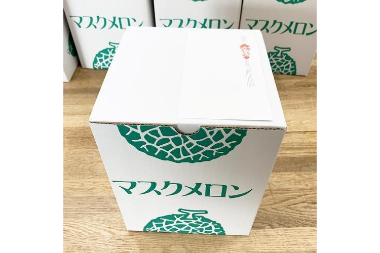 静岡県産クラウンマスクメロン 1玉 〔1.3kg〕 | ラッピング