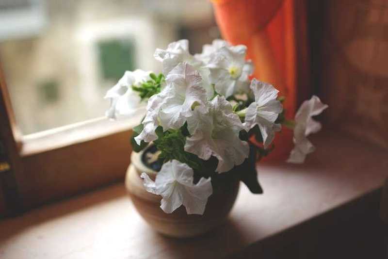 http://www.istockphoto.com/jp