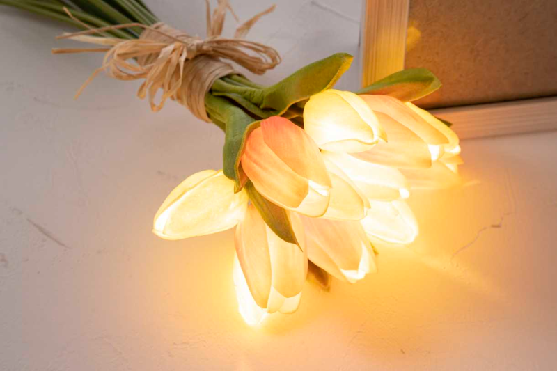 https://anny.gift/products/4133/