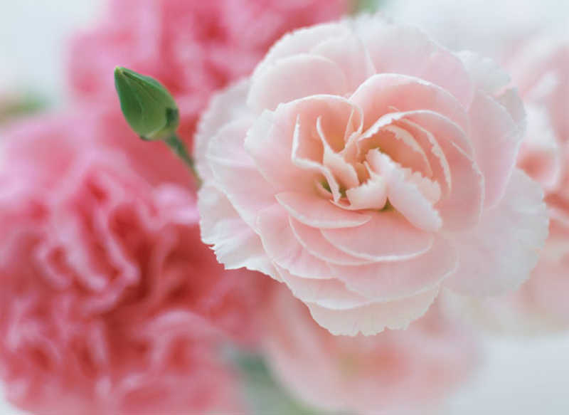 https://anny.gift/1319/