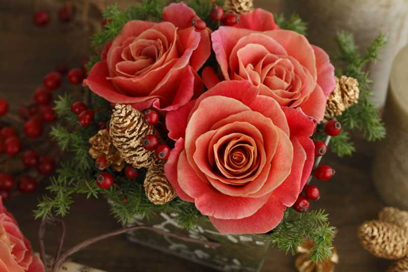https://anny.gift/