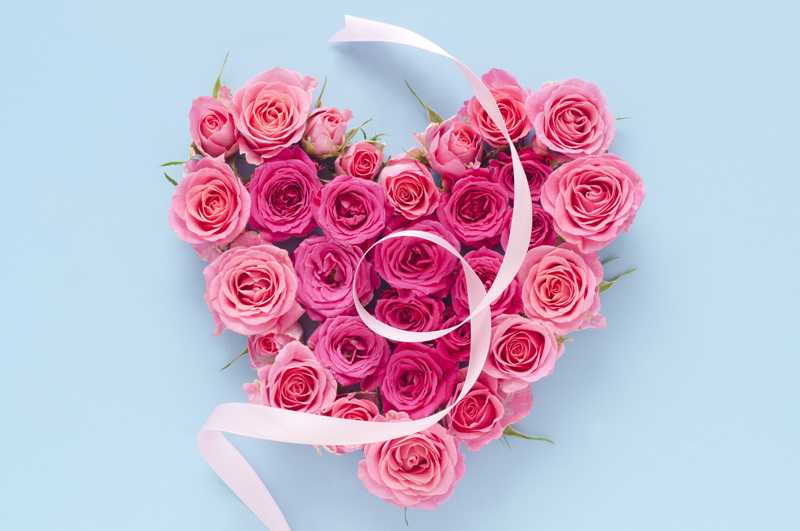 https://anny.gift/