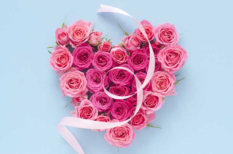 誕生日に贈る花束のプレゼントはこれ 喜ばれる花の選び方や値段を解説 Anny アニー